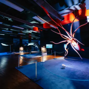 🌊 City kvíz: vyhraj rodinné vstupné na výstavu Obři oceánů 🦈🐋