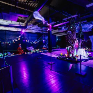 🌊 City kvíz: vyhraj rodinné vstupné na výstavu Obři oceánů 🦈🐋