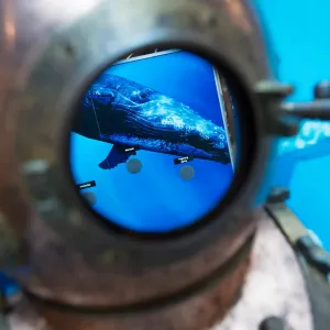 🌊 City kvíz: vyhraj rodinné vstupné na výstavu Obři oceánů 🦈🐋