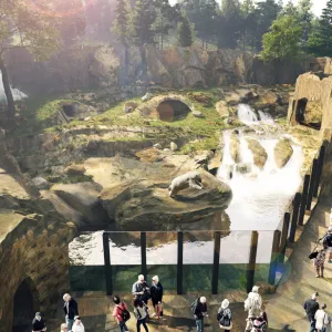 Zoo Praha zahajuje výstavbu nového expozičního celku Arktida