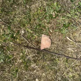 Nebezpečné návnady v okolí Libeňského mostu