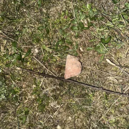 Nebezpečné návnady v okolí Libeňského mostu