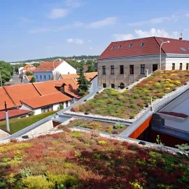 Praha dá 50 milionů na zelené střechy a sběř dešťovky