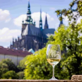 Víkendové vinobraní na Pražském hradě