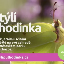 Začala oblíbená Motýlí půlhodinka