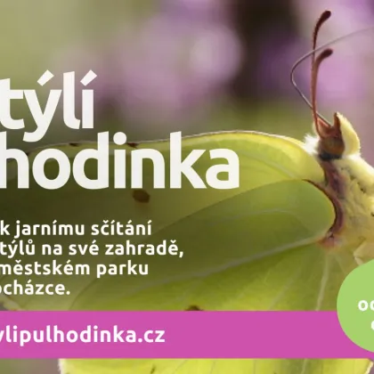 Začala oblíbená Motýlí půlhodinka