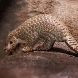 Prázdniny začínají ZOO Praha