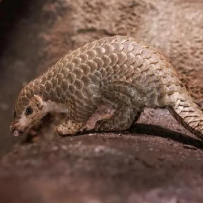 Prázdniny začínají ZOO Praha