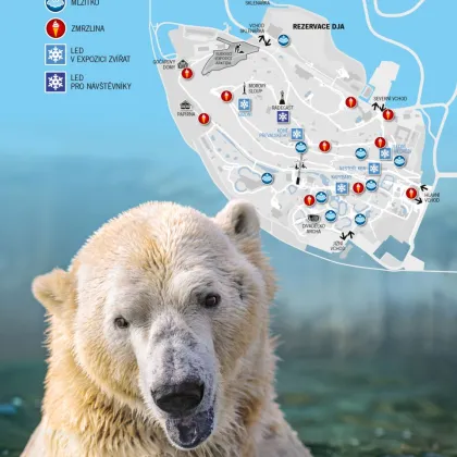 Zoo Praha pod ledem, poprvé v sezoně právě dnes
