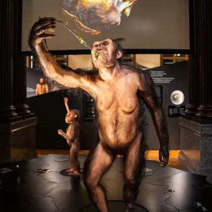 Lucy a Selam otevírají novou expozici Lidé a předci