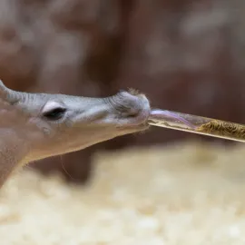 Loučení s prázdninami v Zoo Praha
