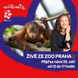 Hitrádio City vysílá živě ze Zoo Praha!