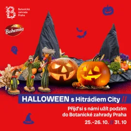 Užijte si dýňový víkend i Halloween v Botanické zahradě s Hitrádiem City! 🎃