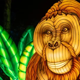 Světelná zoo v Zoo Praha je zpět, otvírá na Halloween