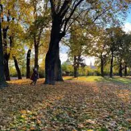 Oživení zeleně nebo nové vyhlídky, začíná obnova Chotkových sadů