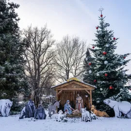 V Zoo Praha rozsvítí vánoční stromeček v neděli