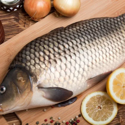 Praha radí: Jak šetrně zacházet s kaprem?