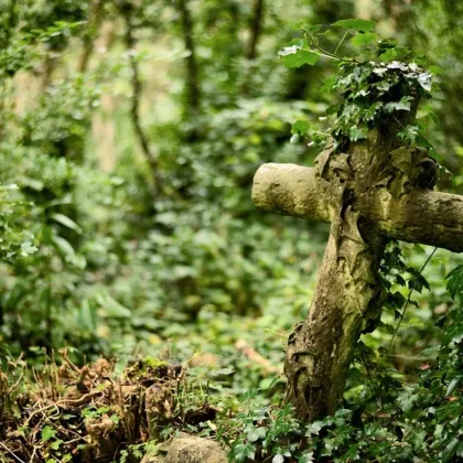 Začala rekonstrukce kaple na hřbitově bláznů v Bohnicích