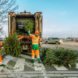 Kam odnést stromečky po svátcích?