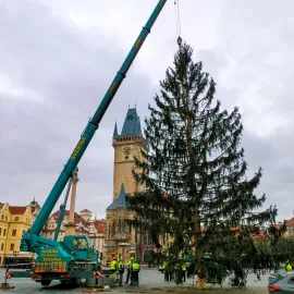 Začíná odstrojování vánočního stromu na Staromáku