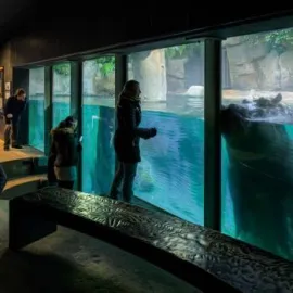 Zoo Praha zve o víkendu na návštěvu tropů