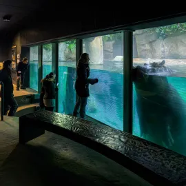 Návštěva Zoo Praha v suchu a v teple