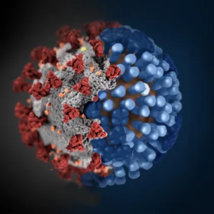 Chřipková epidemie ustupuje