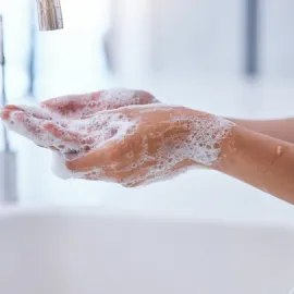 Žloutenka typu A je v Praze zřejmě na ústupu