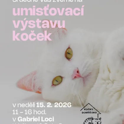 Chcete si pořídit kočku? Možnost máte v Gabriel Loci