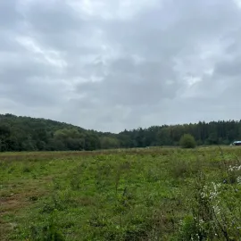 Praha 4 bude mít komunitní zahradu Velký háj