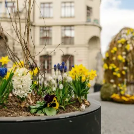 Velikonoce na Mariánském nabízí klidnou oslavu jara