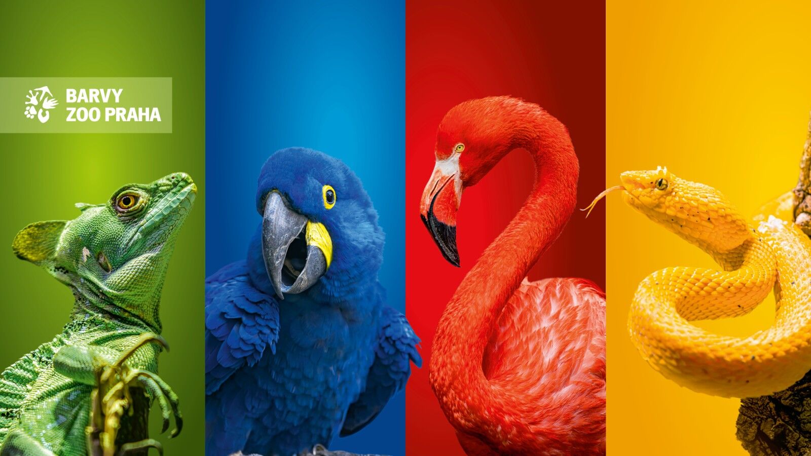 zoo